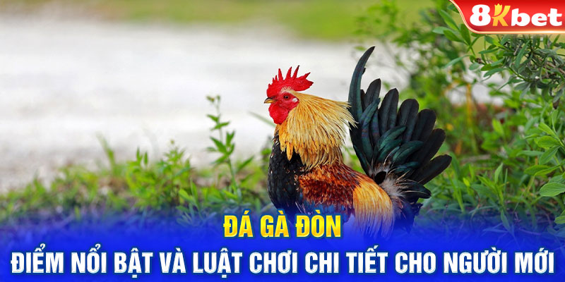 Đá Gà Đòn: Điểm Nổi Bật Và Luật Chơi Chi Tiết Cho Người Mới