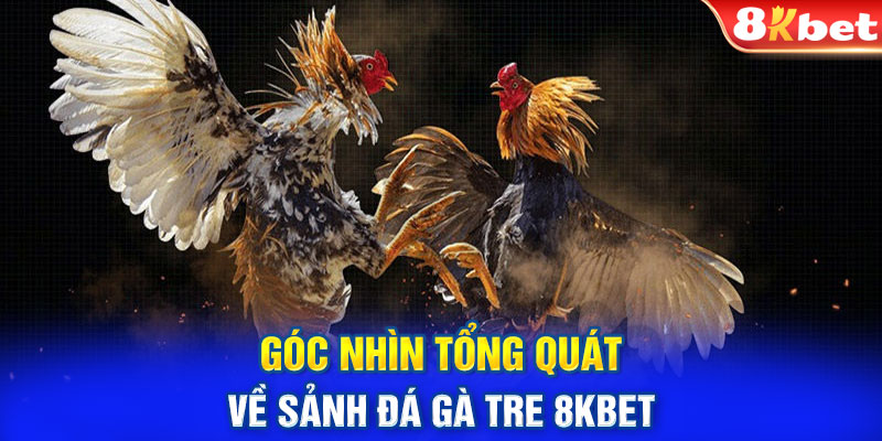 Góc nhìn tổng quát về sảnh đá gà tre 8KBET