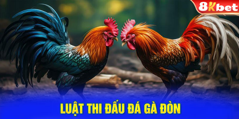 Luật thi đấu đá gà đòn