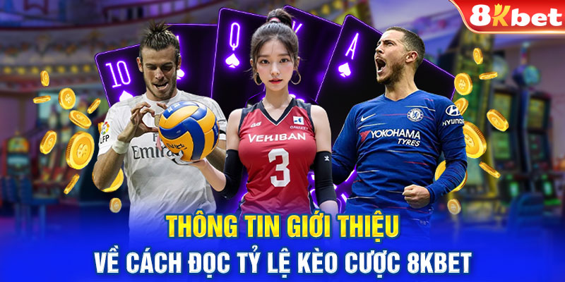 Thông tin giới thiệu về cách đọc tỷ lệ kèo cược 8KBET